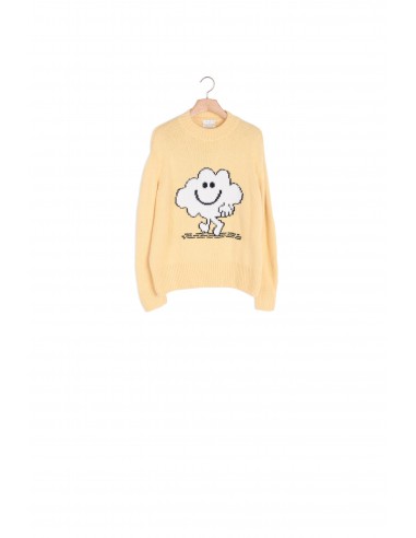 PULL Jaune Pâle Comparez plus de prix